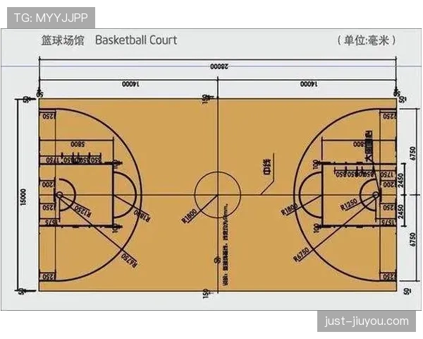 球场尺寸规则：国际赛与业余赛长度宽度标准
